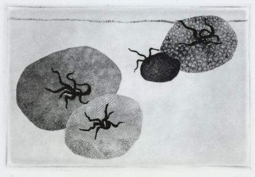 Hella Dehaas0255 (Copier)