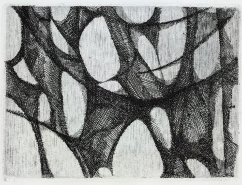 Hella Dehaas0257 (Copier)