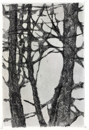 Hella Dehaas0260 (Copier)