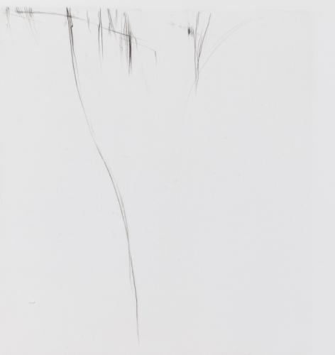 Hella Dehaas0275 (Copier)