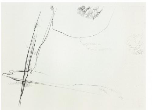 Hella Dehaas0279 (Copier)