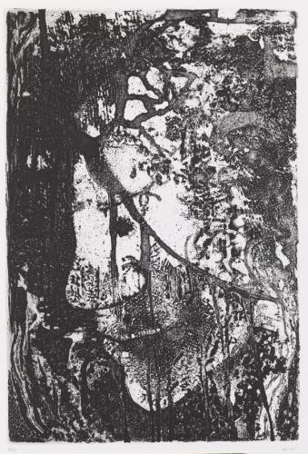 Hella Dehaas0338 (Copier)