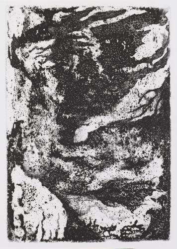 Hella Dehaas0339 (Copier)