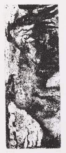 Hella Dehaas0340 (Copier)